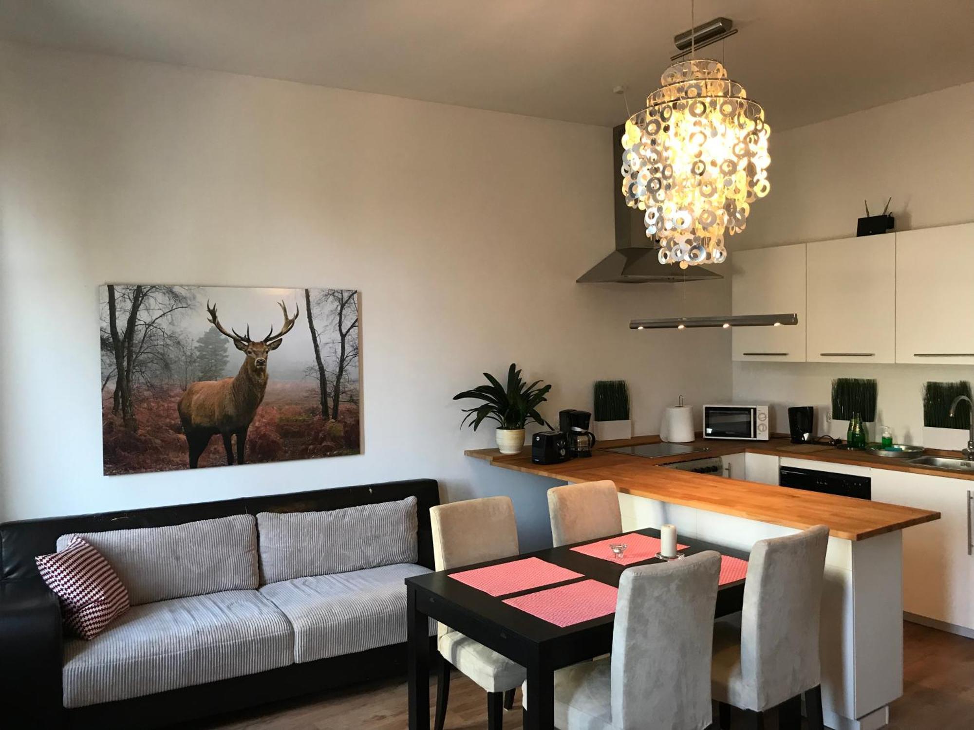 Apartament Galicja ชานูฟ ภายนอก รูปภาพ